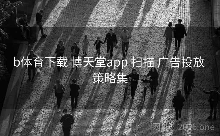 b体育下载 博天堂app 扫描 广告投放 策略集