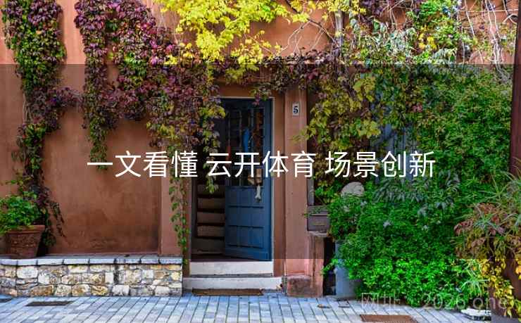 一文看懂 云开体育 场景创新