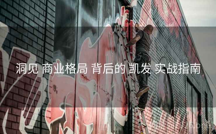 洞见 商业格局 背后的 凯发 实战指南
