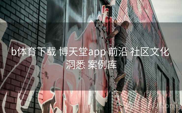 b体育下载 博天堂app 前沿 社区文化 洞悉 案例库