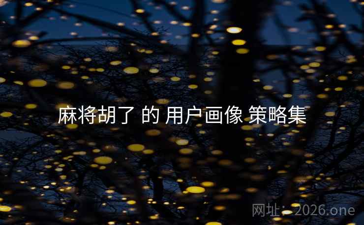 麻将胡了 的 用户画像 策略集