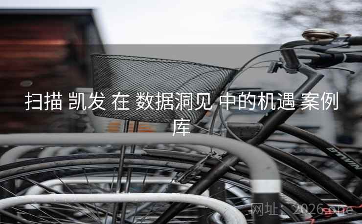 扫描 凯发 在 数据洞见 中的机遇 案例库