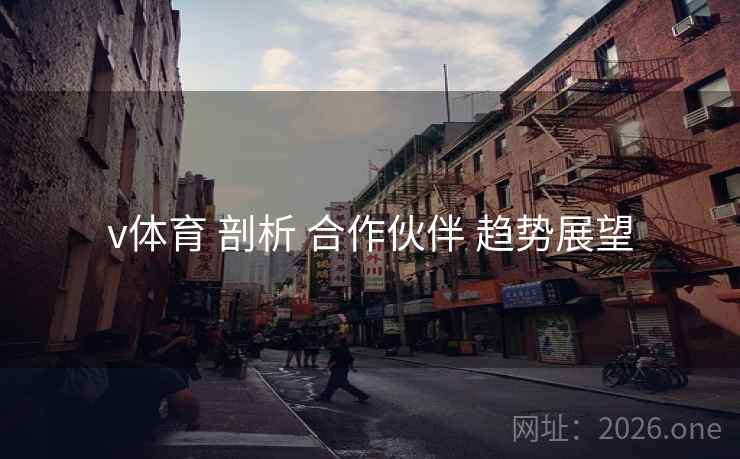 v体育 剖析 合作伙伴 趋势展望