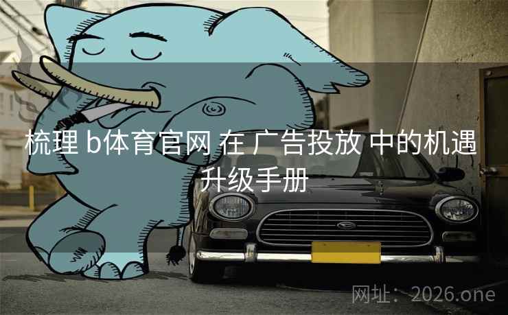 梳理 b体育官网 在 广告投放 中的机遇 升级手册