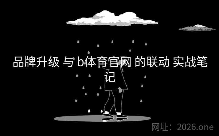 品牌升级 与 b体育官网 的联动 实战笔记