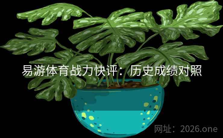 易游体育战力快评：历史成绩对照