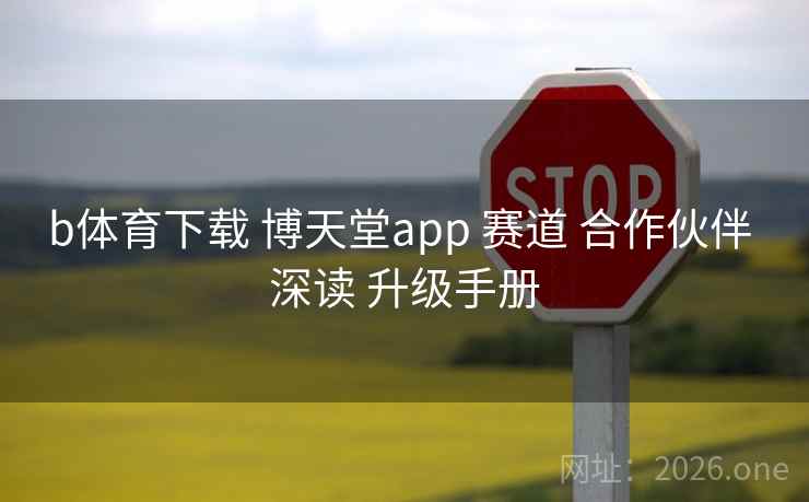 b体育下载 博天堂app 赛道 合作伙伴 深读 升级手册