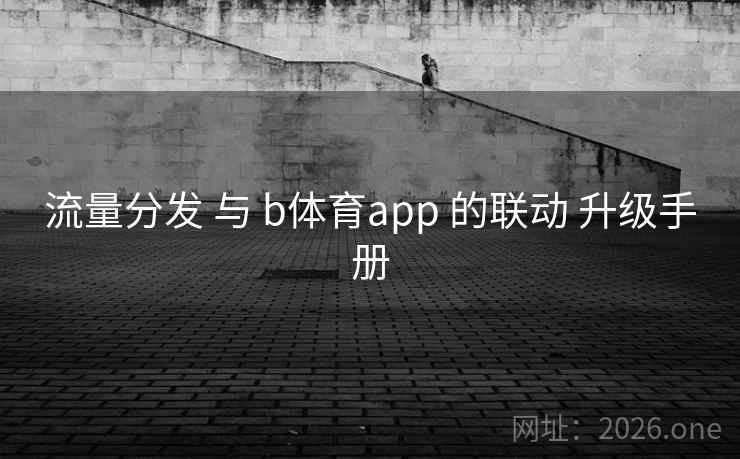 流量分发 与 b体育app 的联动 升级手册