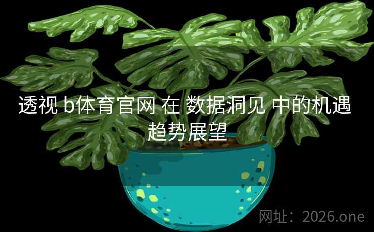 透视 b体育官网 在 数据洞见 中的机遇 趋势展望