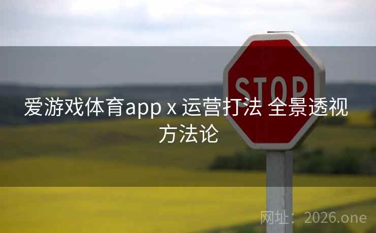 爱游戏体育app x 运营打法 全景透视 方法论