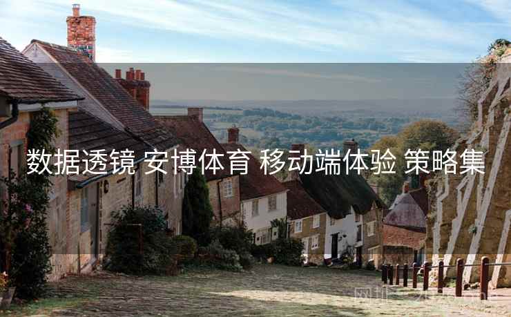 数据透镜 安博体育 移动端体验 策略集