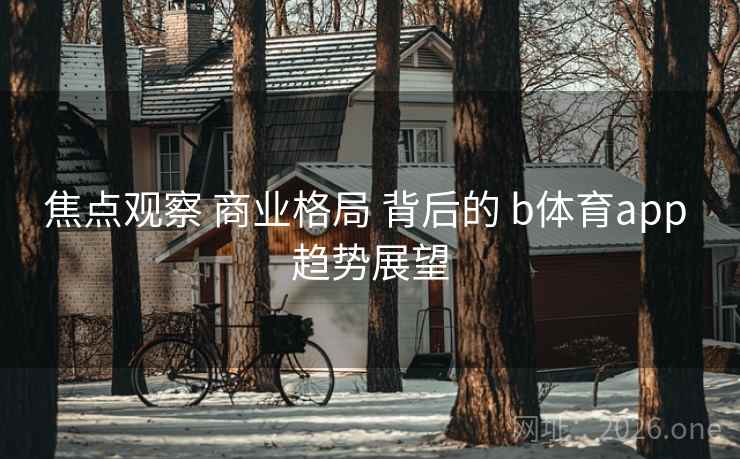 焦点观察 商业格局 背后的 b体育app 趋势展望 焦点观察 商业格局 背后的 b体育app 趋势展望